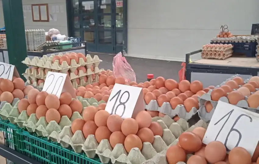 Trziste EU zatvoreno za jaja iz Srbije