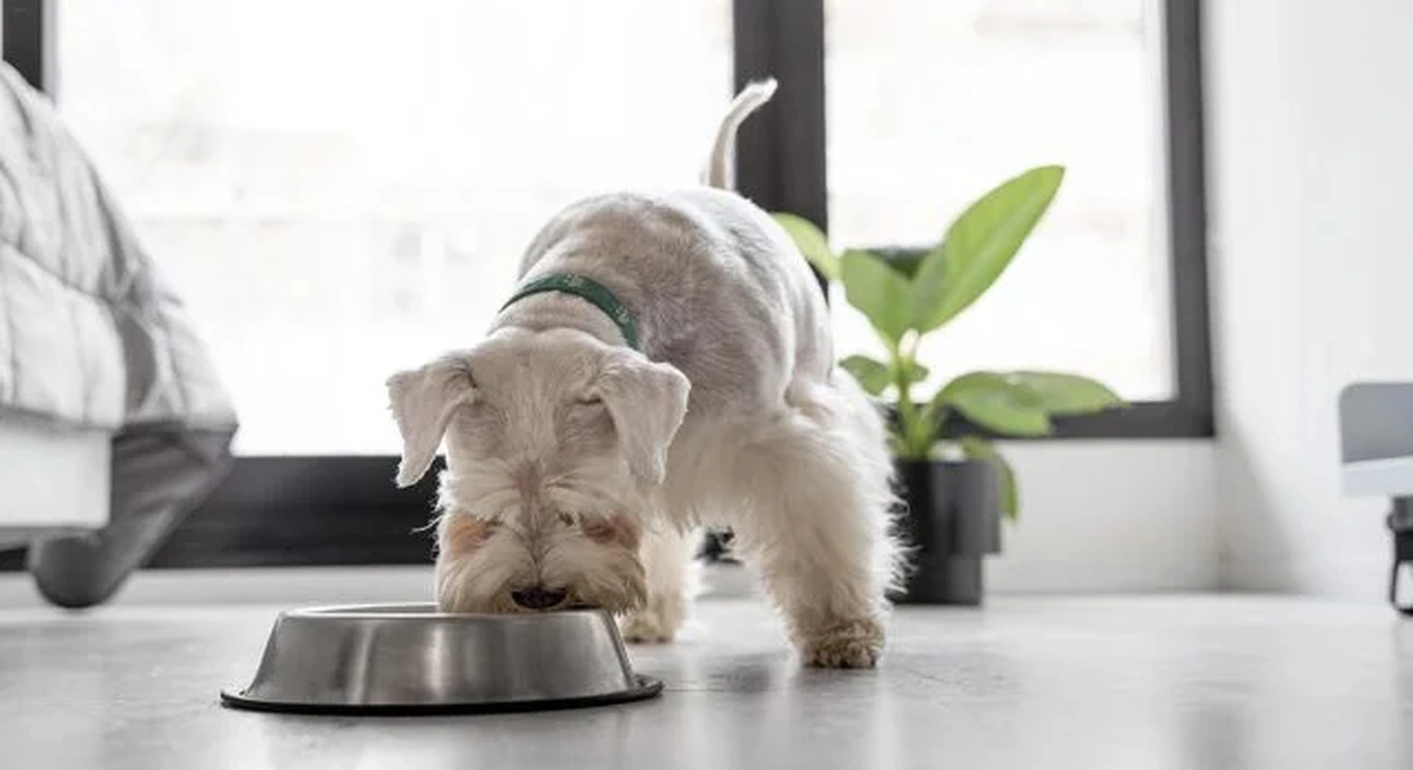 Smartsy startap iz Srbije dobio investiciju od 500.000 evra za širenje na evropsko tržište